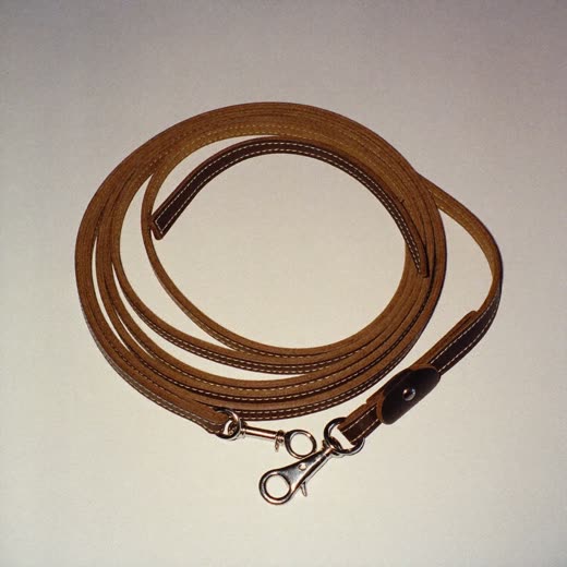 A tan leather dog collar and lead coiled on a plain backdrop